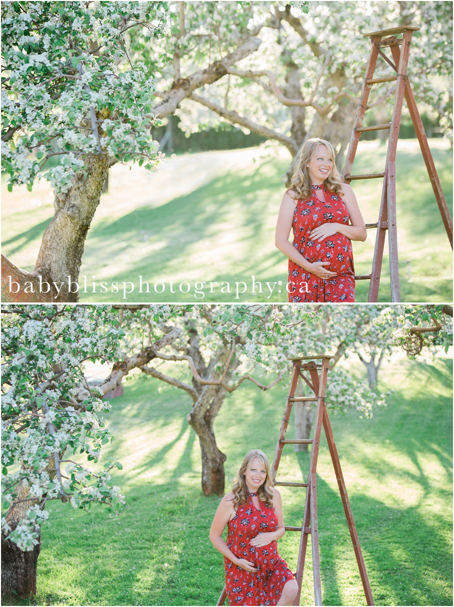 Vernon Maternity Photography | Baby Bliss Photography | www.babyblissphotography.com