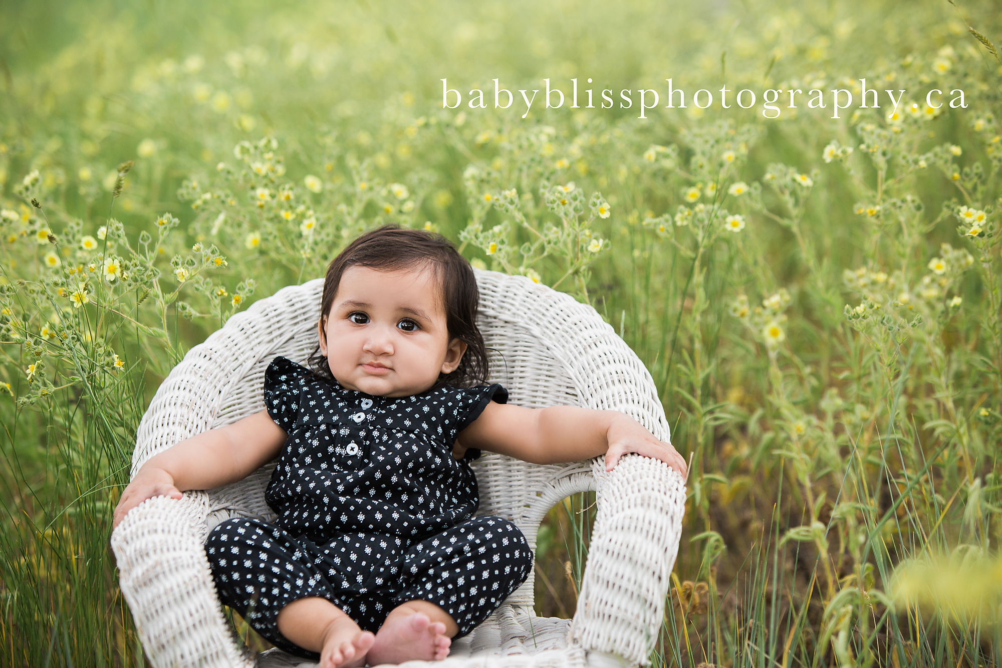 Salmon Arm Family Photographer | Baby Bliss Photography | www.babyblissphotography.ca